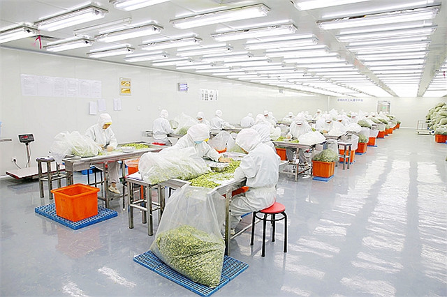 西安凈化工程廠家淺談生物實驗室工程設(shè)計要求有哪些？